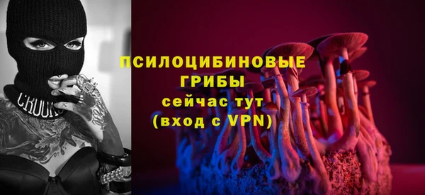 спиды Бородино