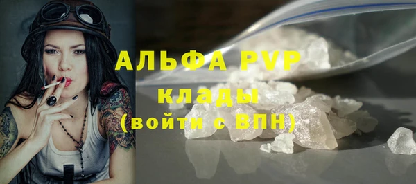 спиды Бородино