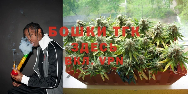 сатива Бронницы