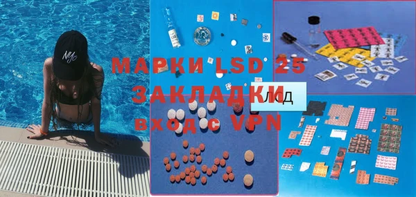 спиды Бородино