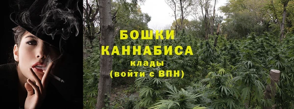 сатива Бронницы