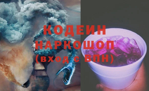 спиды Бородино