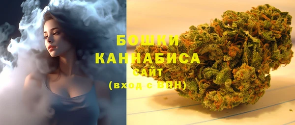 спиды Бородино
